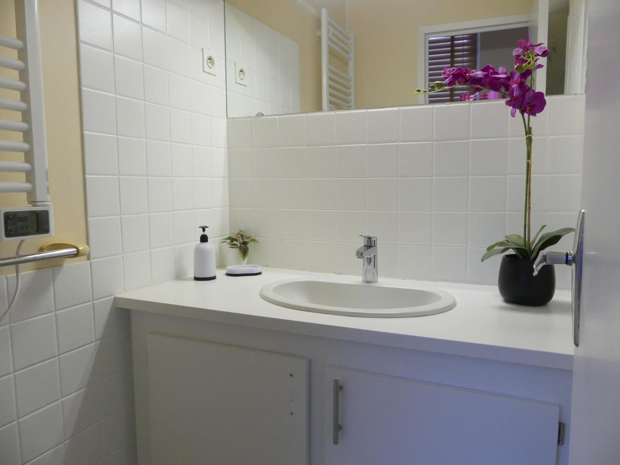Appartement F2 Le Puy-de-Dôme Châtel-Guyon Extérieur photo